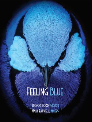 cover image of Feeling Blue
